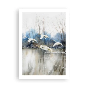 Pôster - Como no conto de fadas sobre cisnes selvagens - 50x70 cm
