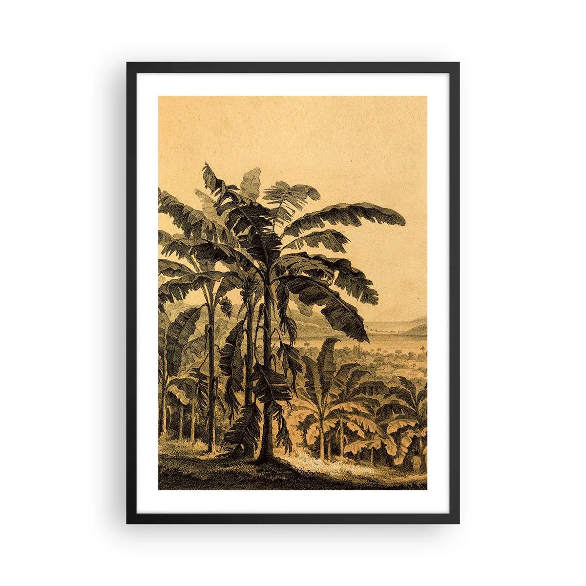 Pôster com moldura preta - Ilustração de palmeiras contra um fundo de paisagem tropical - 50x70cm - num clima colonial - Decoração de parede moderna para a sala de estar e quarto ARTTOR