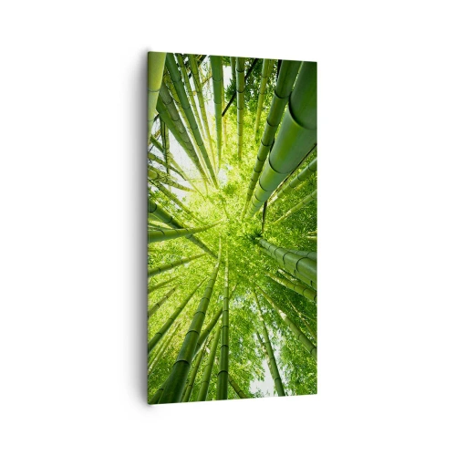 Quadro em tela - Em um bosque de bambu - 65x120 cm