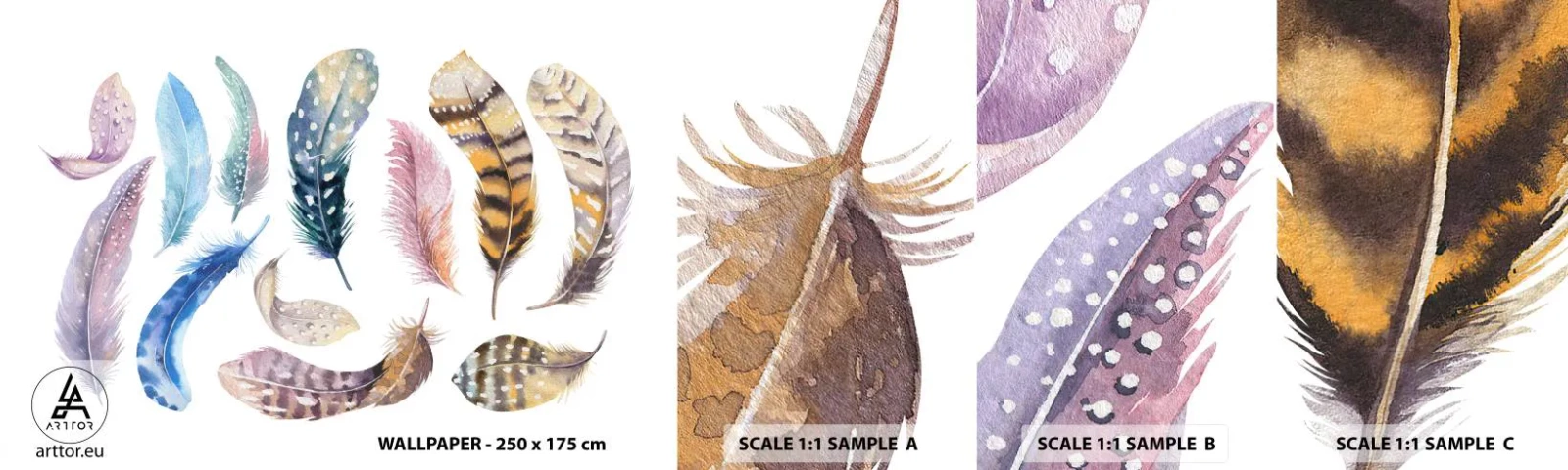 Amostra de Papel de Parede Standard Eco - Leve, heterogéneo e multicolorido - Penas de pássaros, Pássaros, Gráficos - 100x30 cm