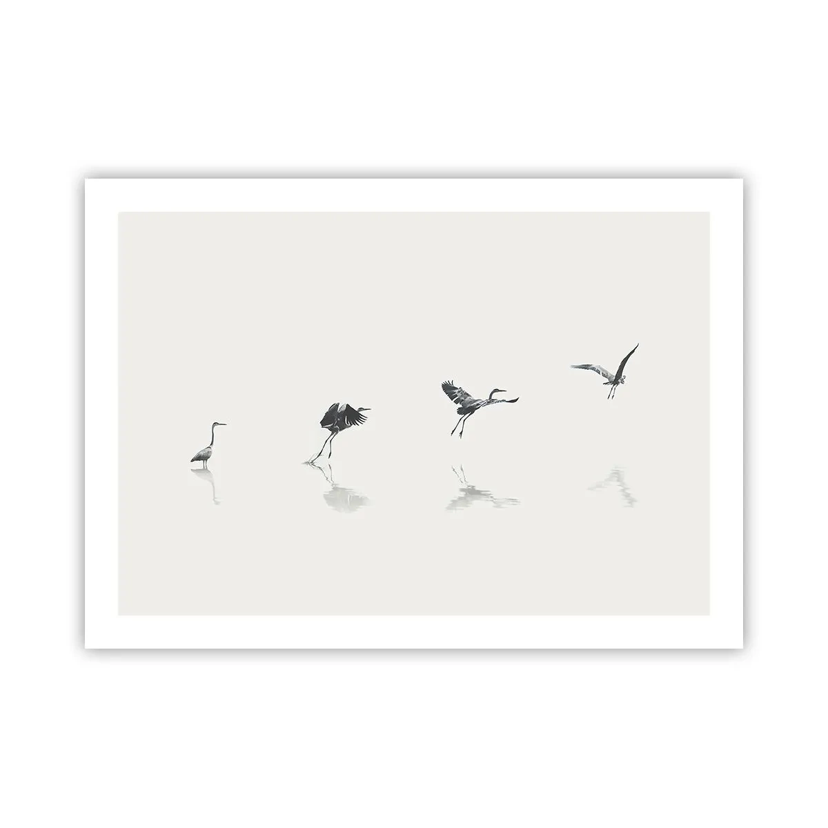 Pôster - Quatro passos simples - 70x50 cm