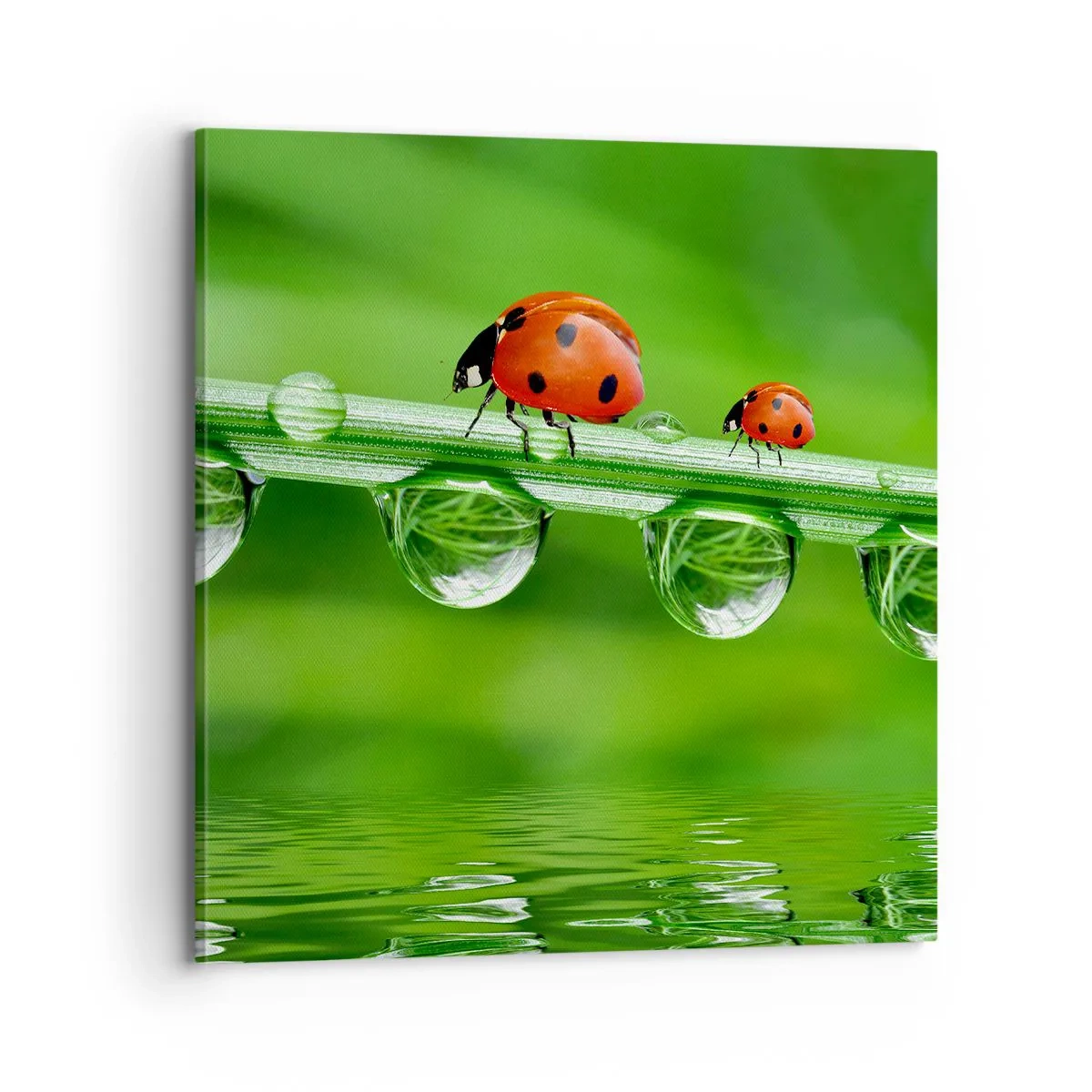 Quadro em tela - Estrada do verão - 70x70 cm