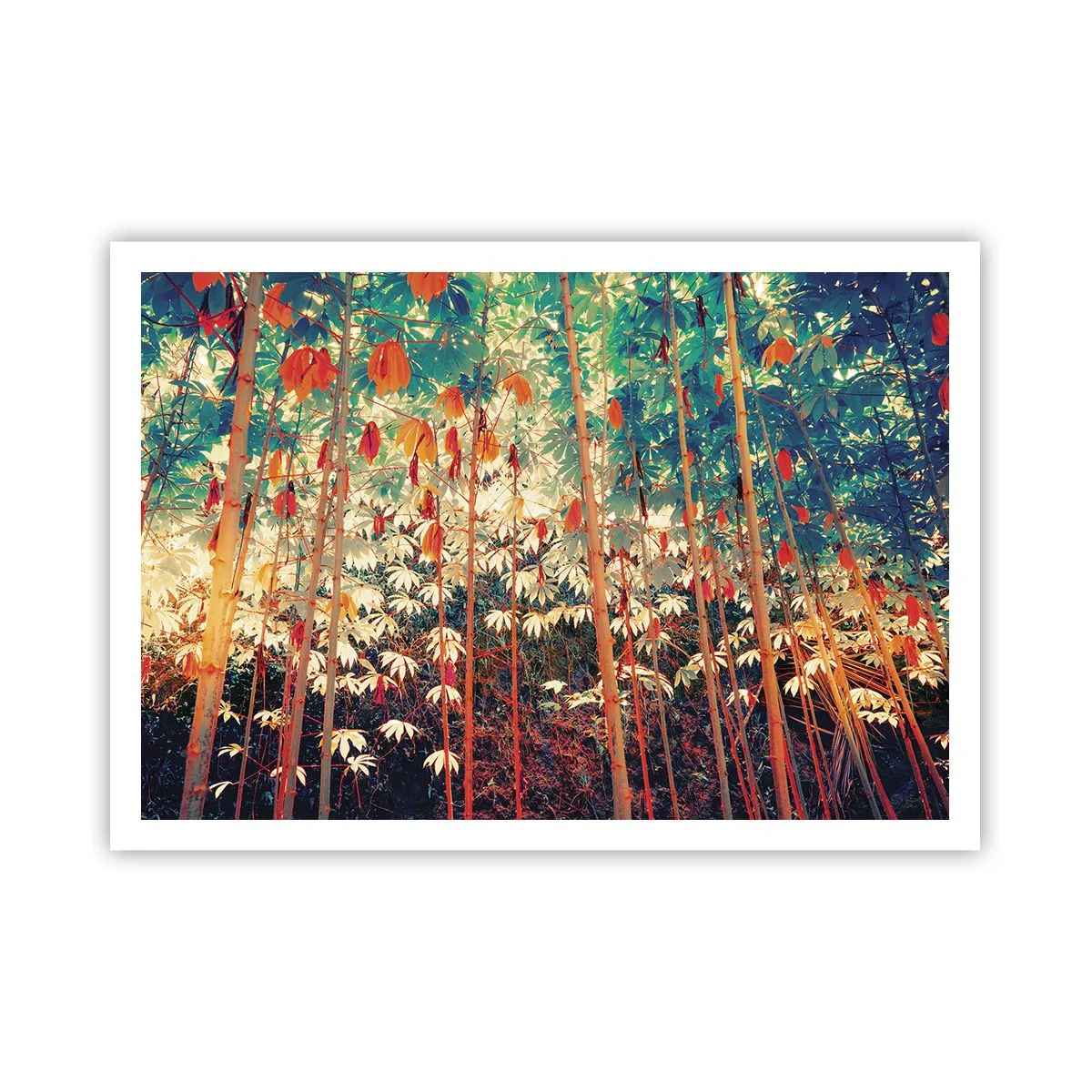 Pôster - A vida secreta das folhas - 100x70 cm