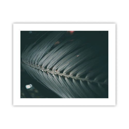 Pôster - A precisão da natureza - 50x40 cm