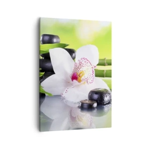 Quadro em tela - Frescor e vigor - 50x70 cm