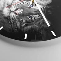 Mostrador com traços