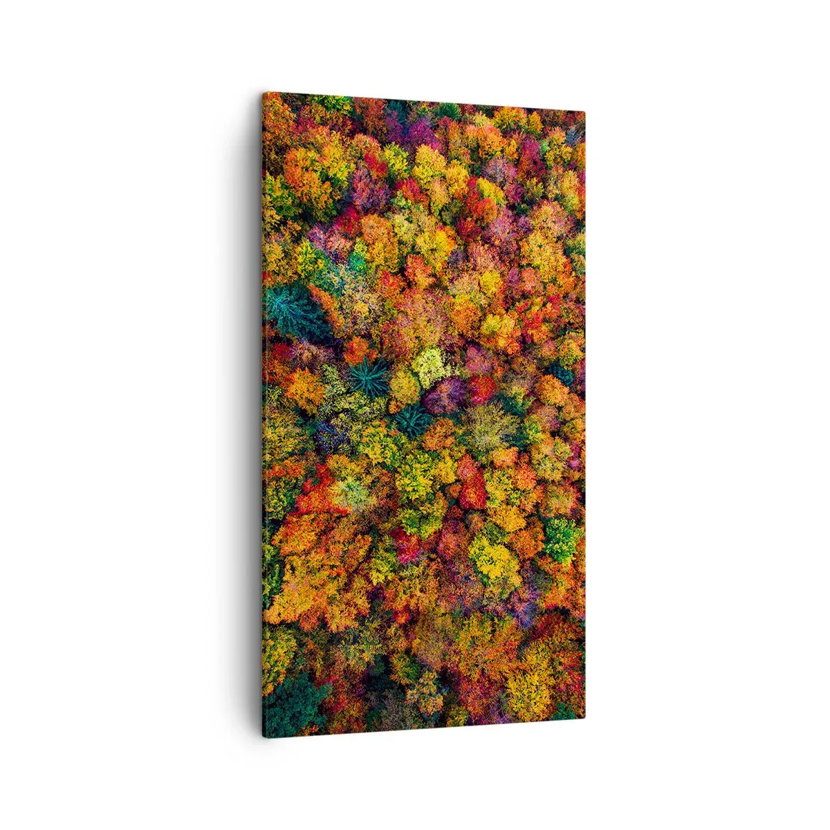 Quadro em tela - Bouquet de árvores de Outono - 45x80 cm