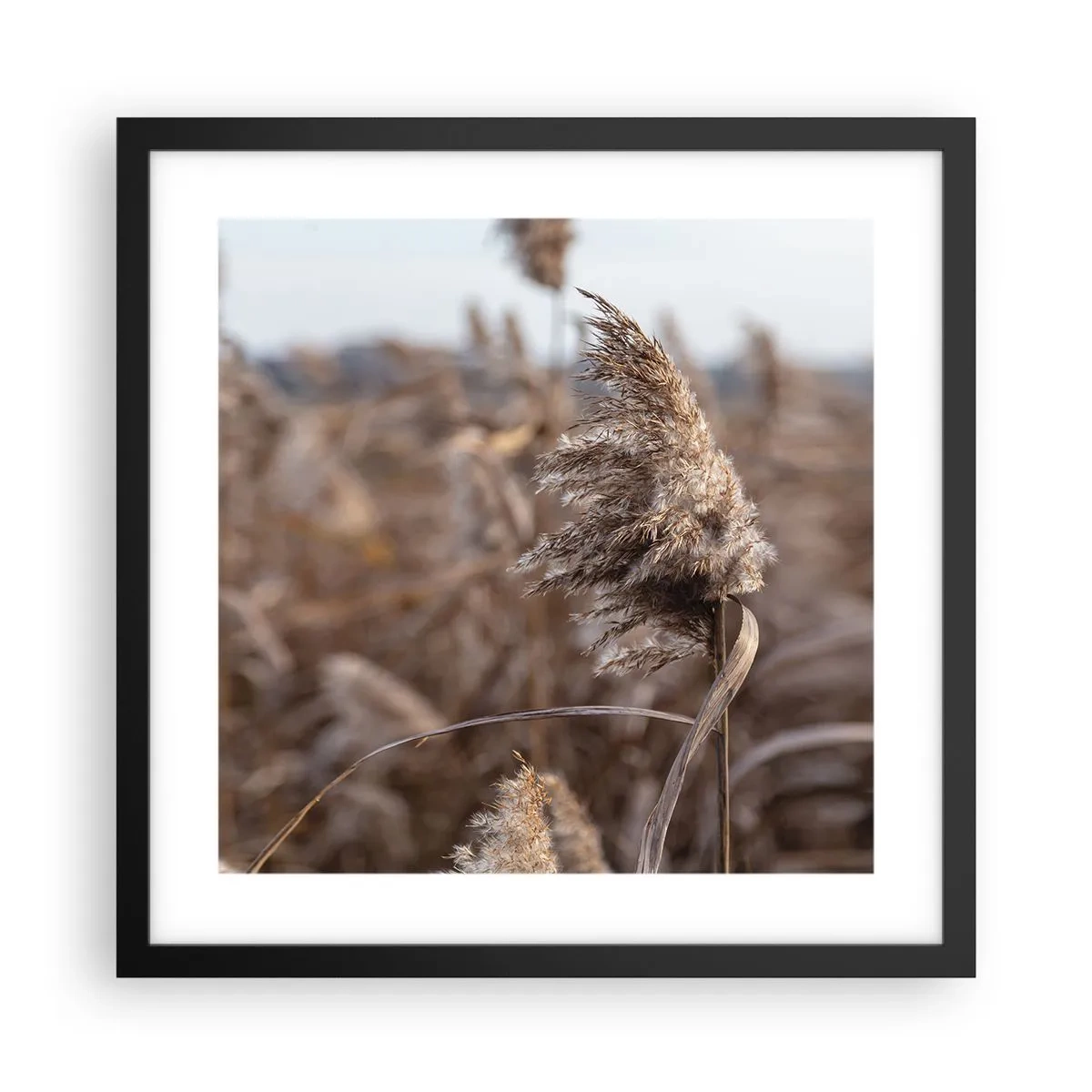 Pôster com moldura preta - É hora de voar com o vento - 40x40 cm