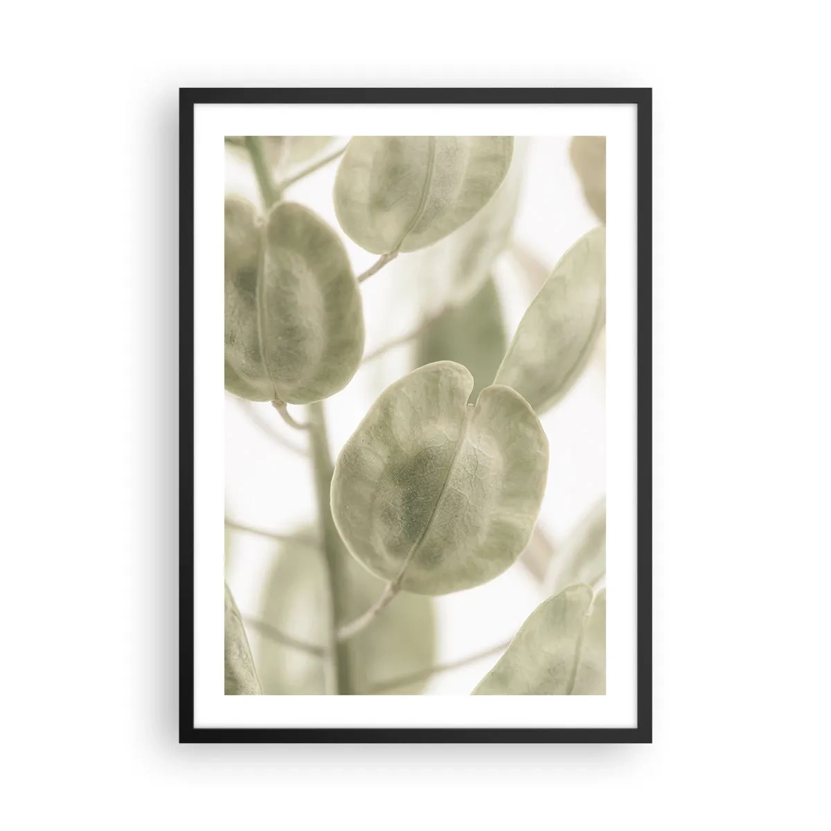 Pôster com moldura preta - Close-up de folhas verdes sob luz natural - 50x70cm - No começo eram folhas... - Decoração de parede moderna para a sala de estar e quarto ARTTOR