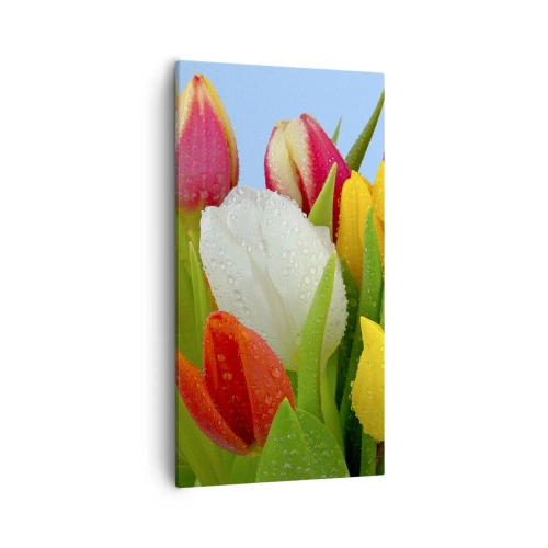 Quadro em tela - Arco-íris floral em gotas de orvalho - 55x100 cm
