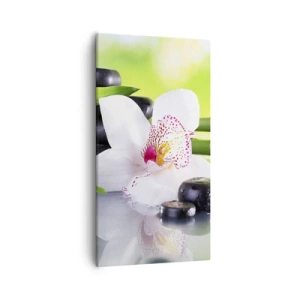 Quadro em tela - Frescor e vigor - 55x100 cm