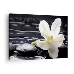 Quadro em tela - Uma orquídea branca sobre um fundo de pedras pretas e água. - 70x50cm - Estudo a preto e branco - Decoração de parede moderna para a sala de estar e quarto ARTTOR