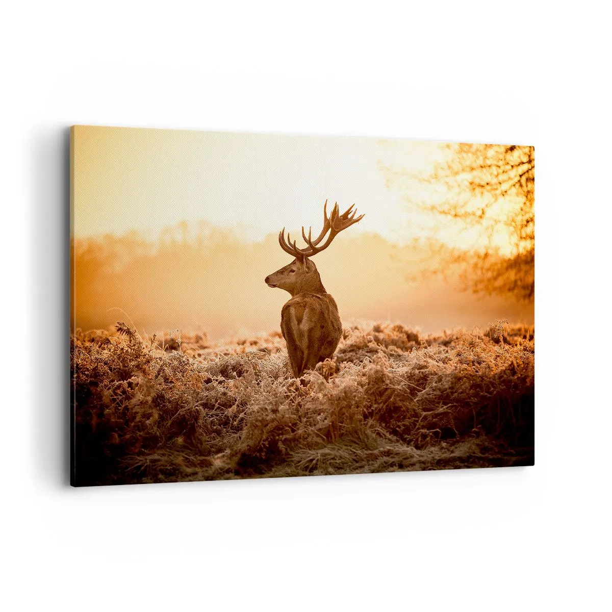 Quadro em tela - O senhor da propriedade - 100x70 cm