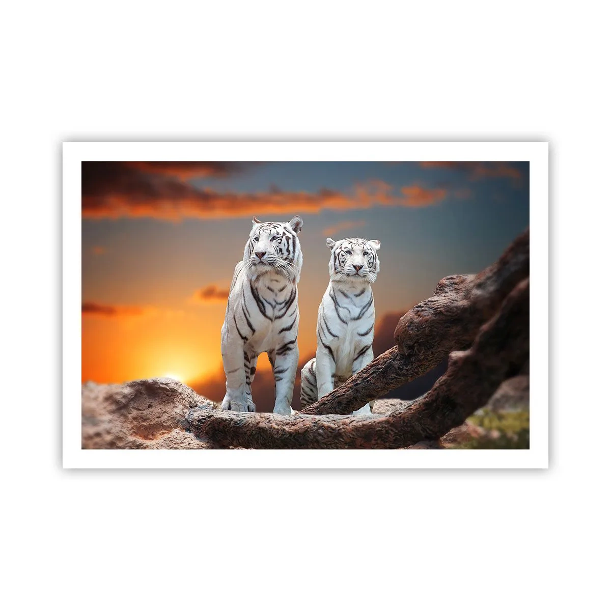 Pôster - Tal como em Nárnia - 91x61 cm