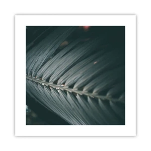 Pôster - A precisão da natureza - 40x40 cm