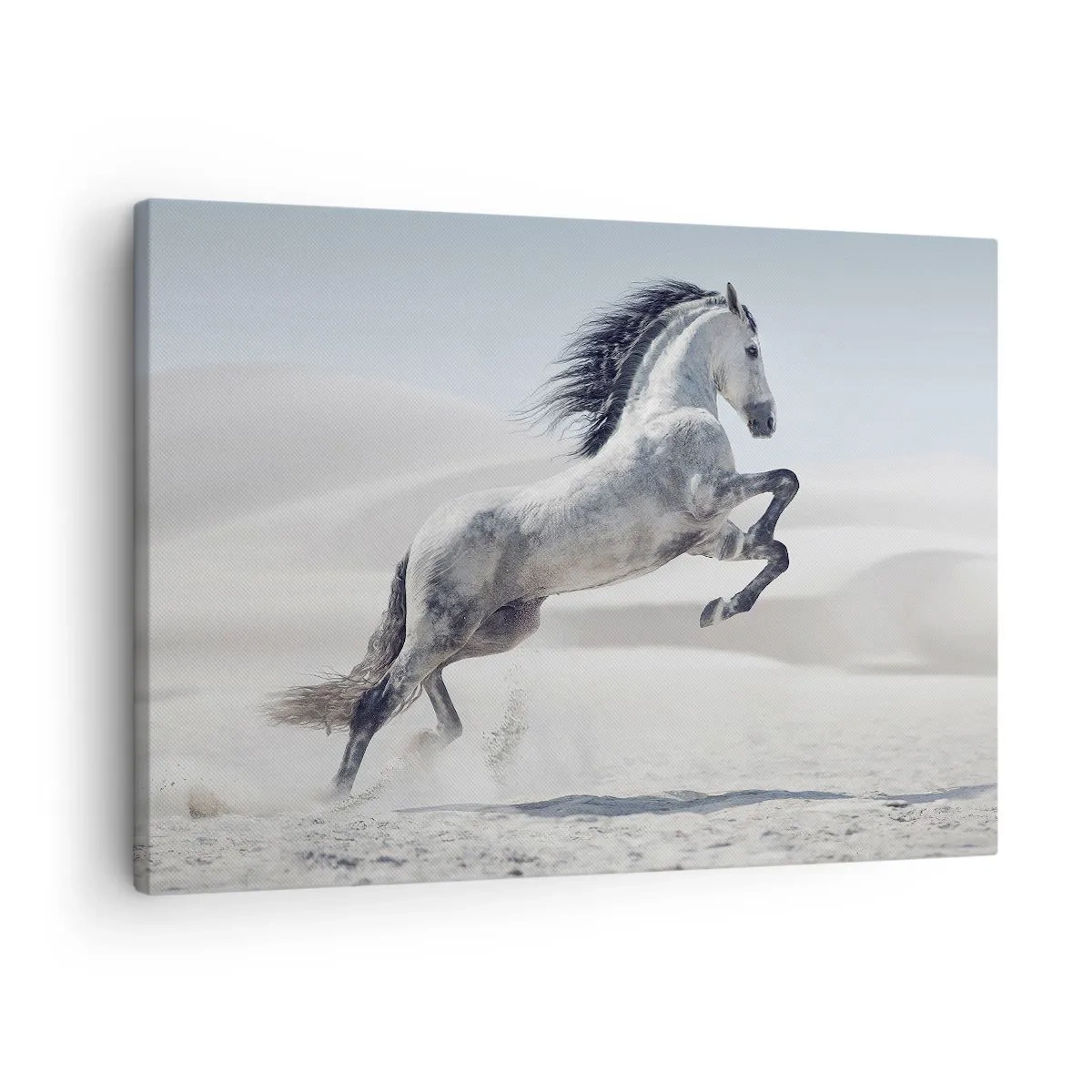 Quadro em tela - Um cavalo branco galopando contra o pano de fundo das dunas do deserto - 70x50cm - Príncipe árabe - Decoração de parede moderna para a sala de estar e quarto ARTTOR
