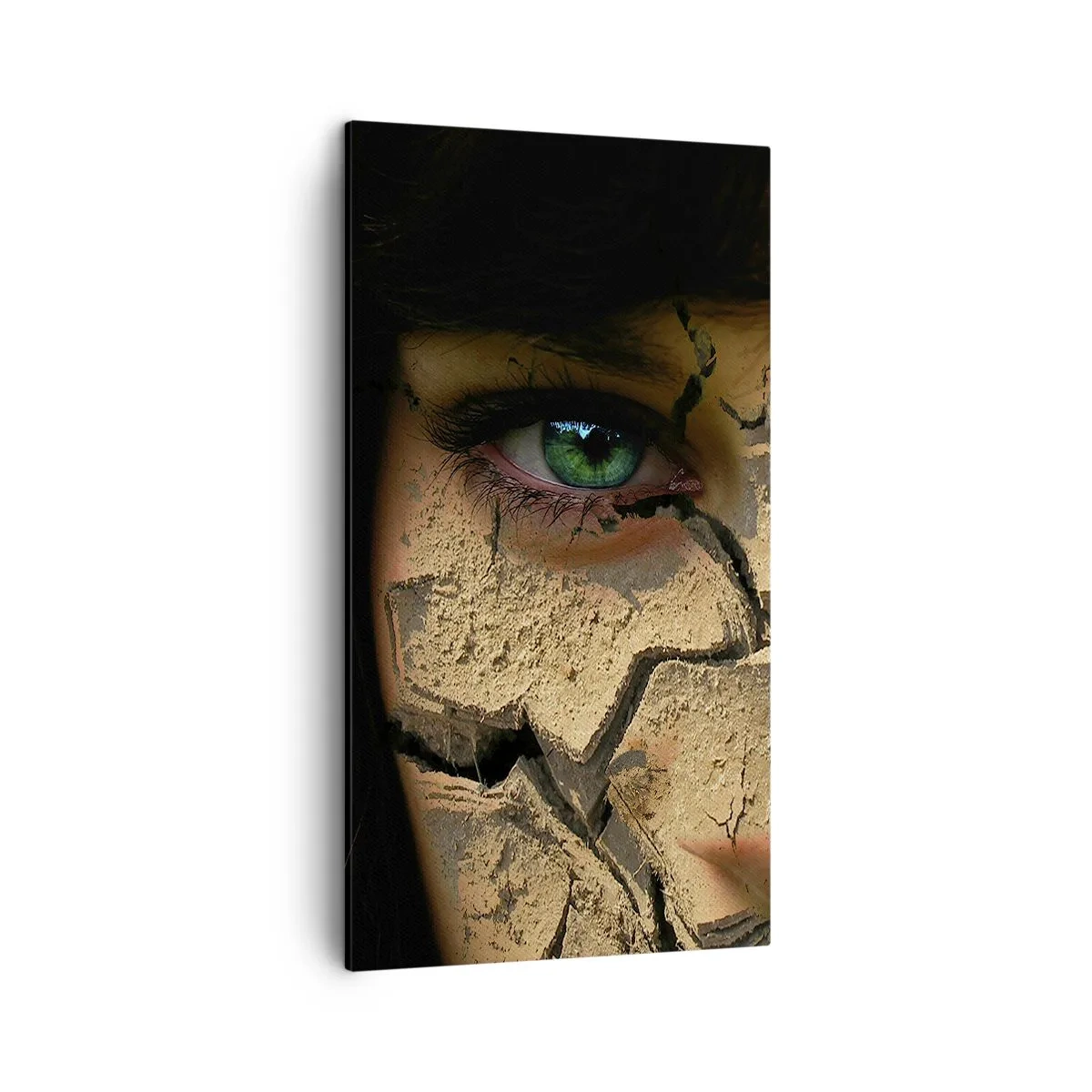 Quadro em tela - Admiração e medo ao mesmo tempo - 45x80 cm