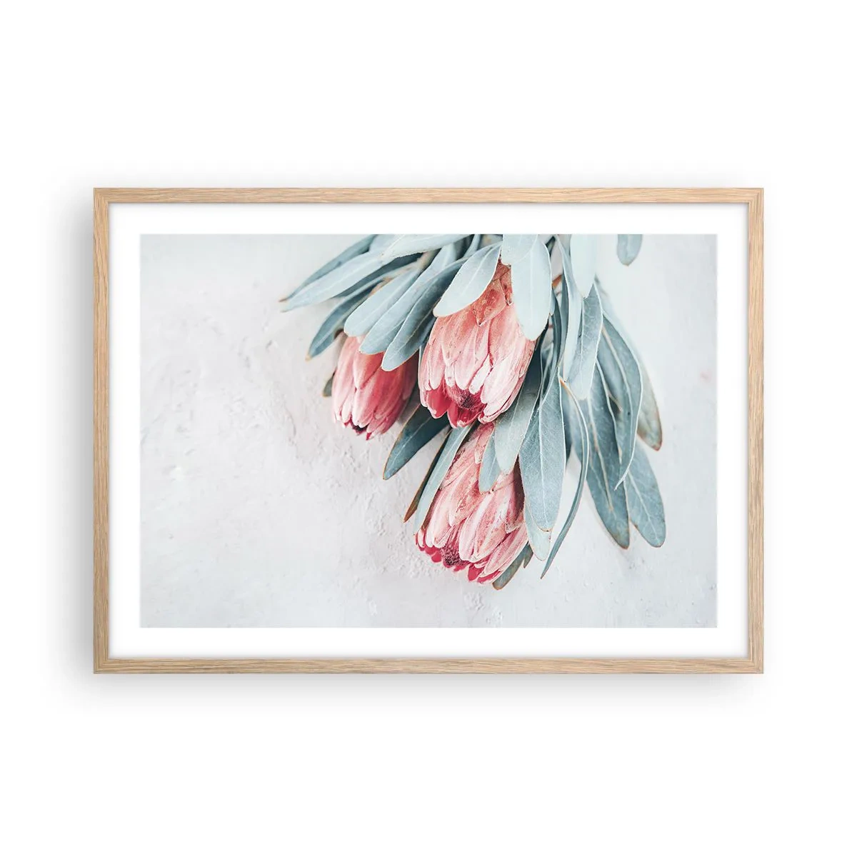 Pôster com moldura de carvalho claro - Envergonhadas da sua própria beleza - 70x50 cm