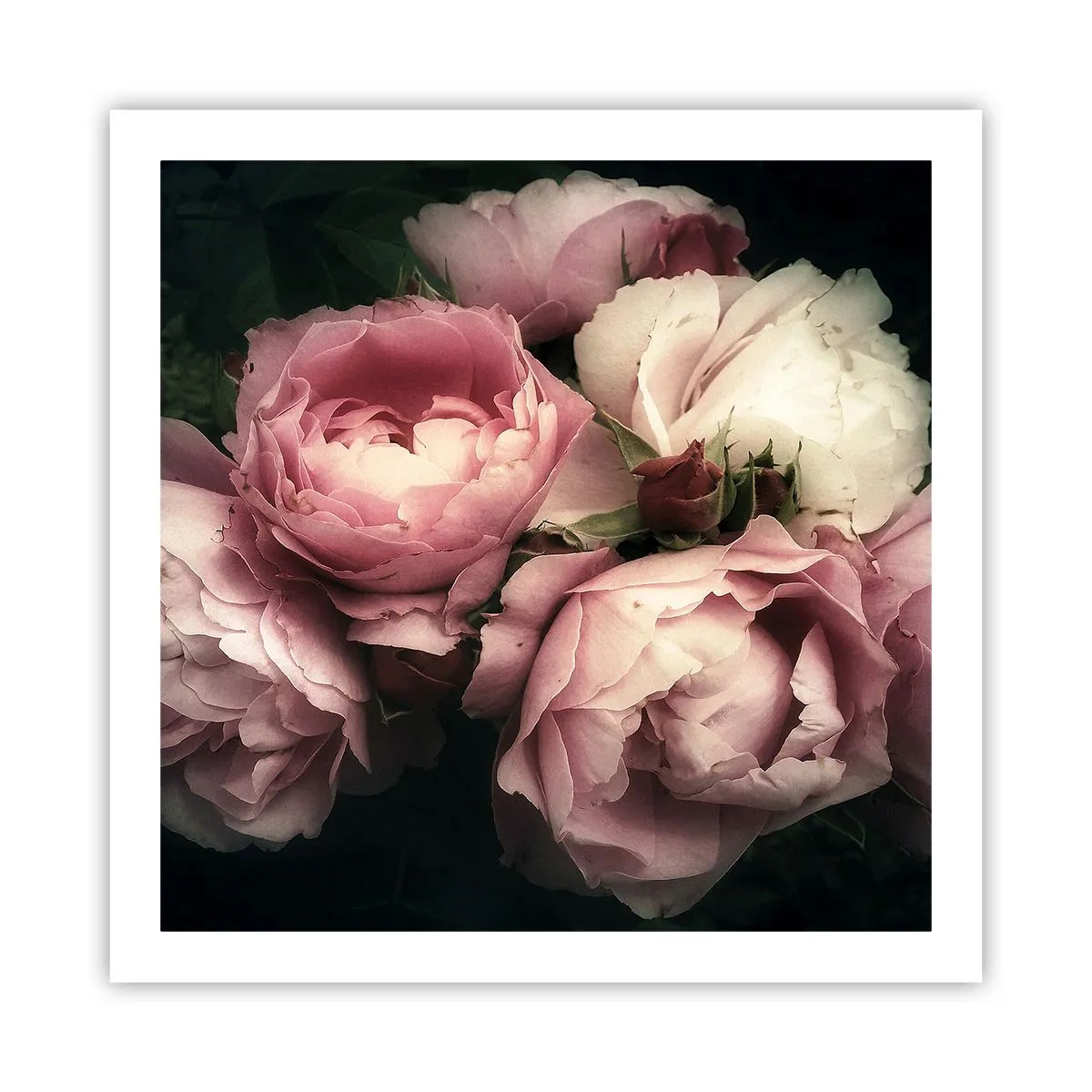 Pôster - O encanto da belle epoque - 60x60 cm