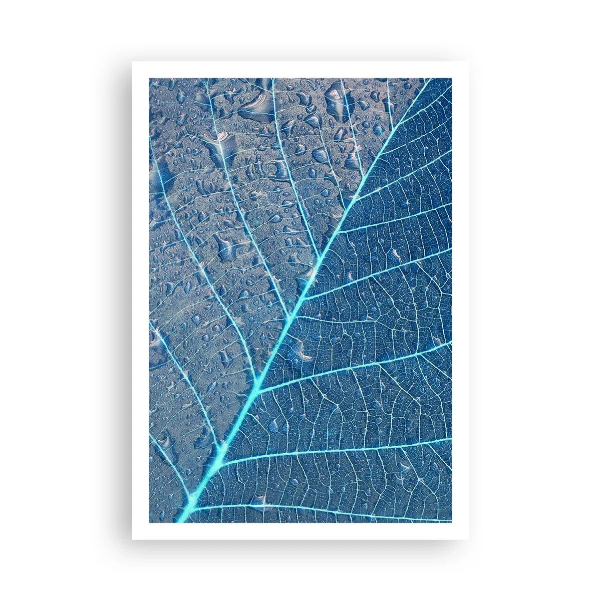 Pôster - A vida em azul - 70x100 cm