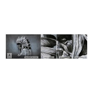Amostra de papel de parede Premium Canvas - De volta às raízes - indiano, Pluma, Homem - 100x30 cm