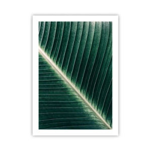 Pôster - O ritmo da natureza - 50x70 cm