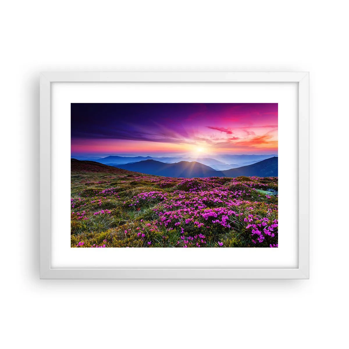 Pôster em moldura branca - Campo cheiroso - 40x30 cm