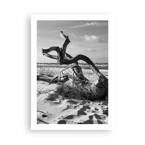 Pôster - Escultura do mar - 50x70 cm