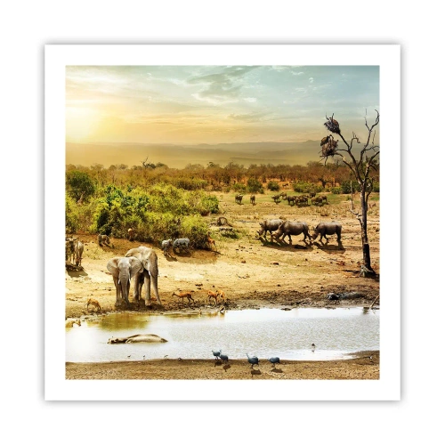 Pôster - Um rio corria no Éden... - 60x60 cm