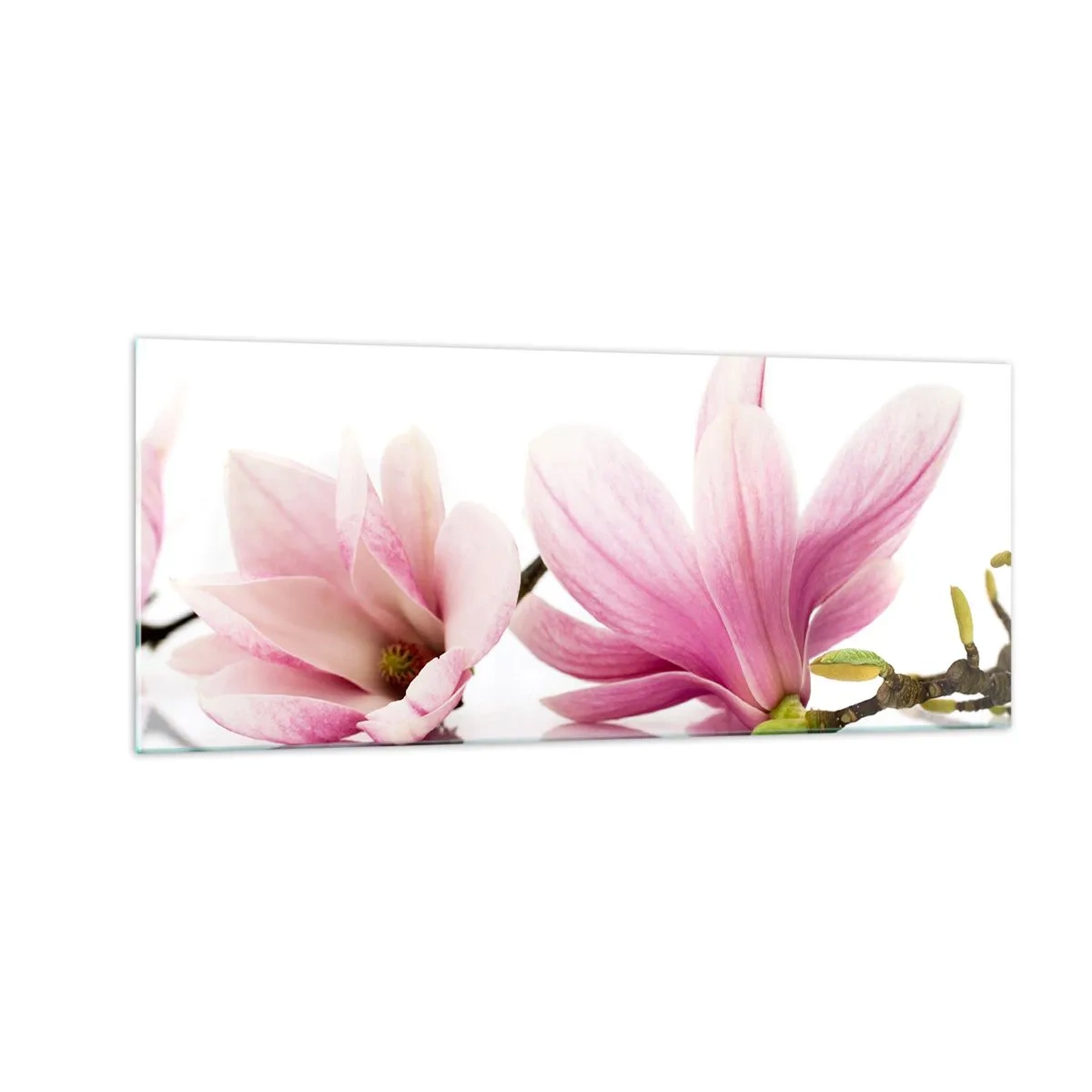 Quadro em vidro - Suave como um sopro de primavera - 100x40 cm