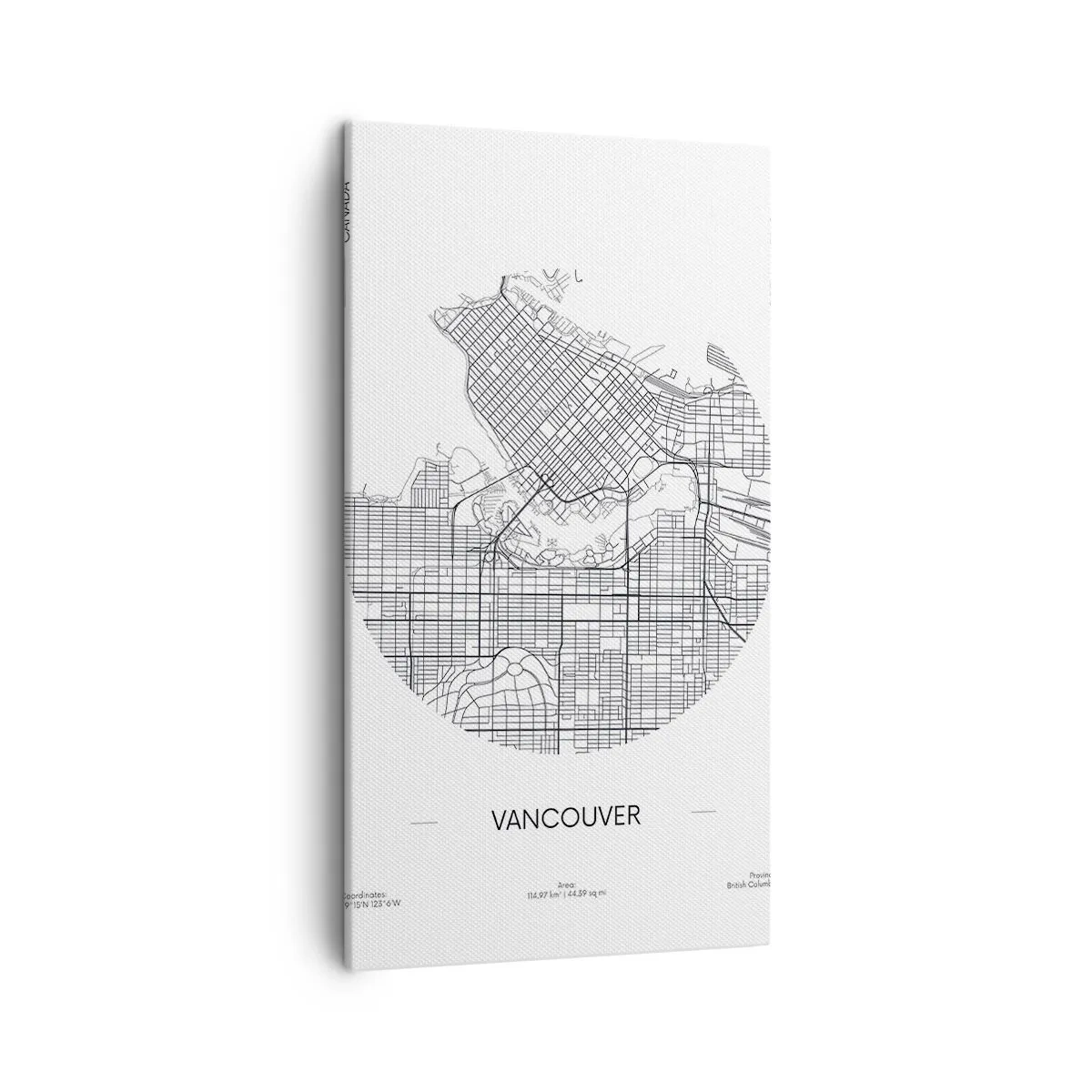 Quadro em tela - Anatomia de Vacouver - 45x80 cm