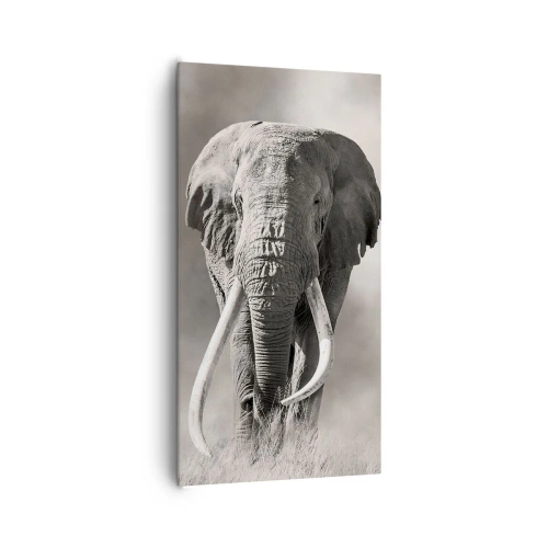 Quadro em tela - Patriarca africano - 65x120 cm