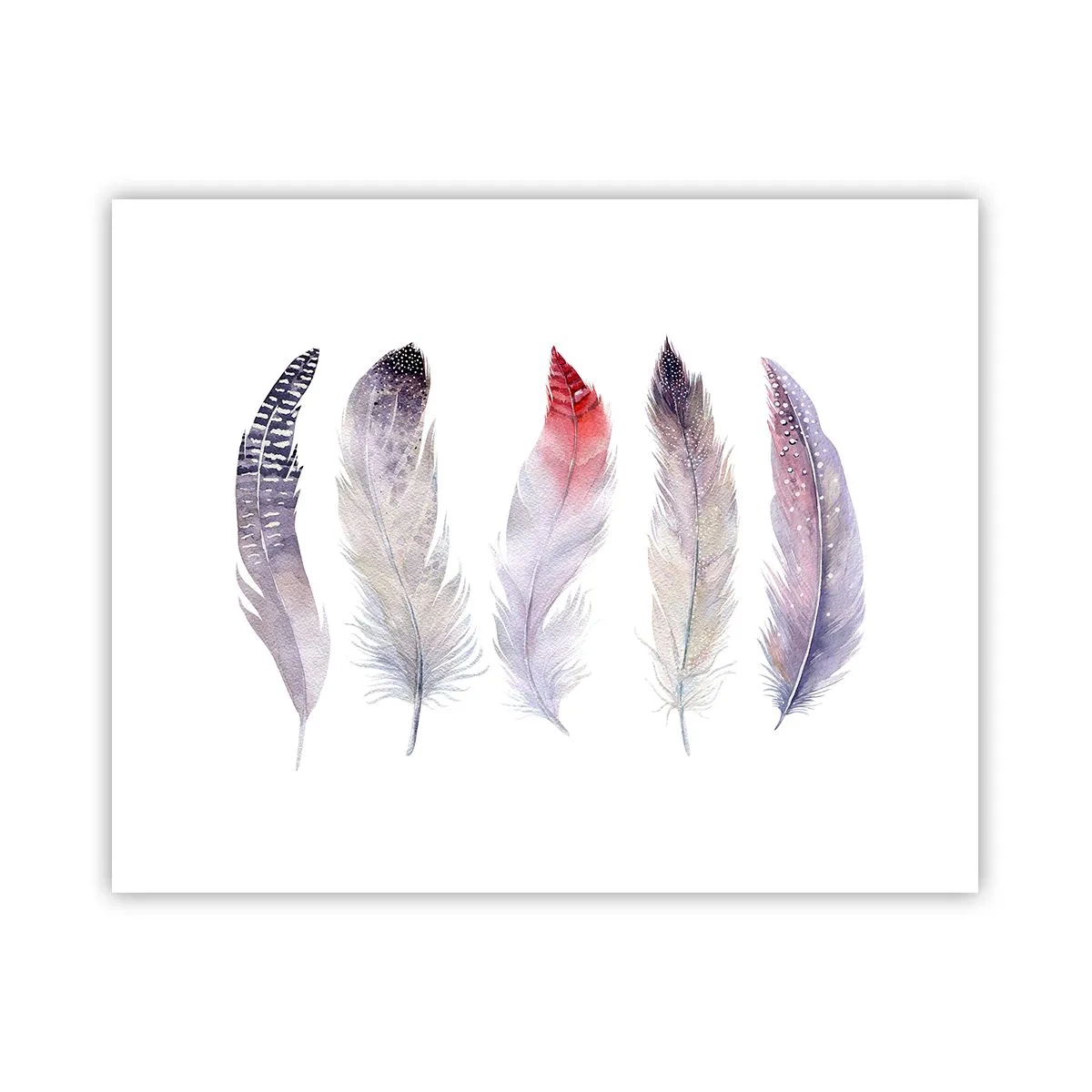 Pôster - Delicadas como uma névoa multicolorida - 50x40 cm