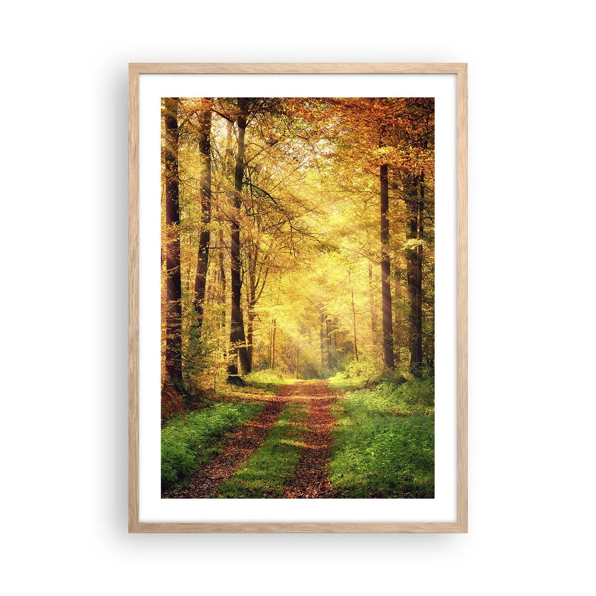 Pôster com moldura de carvalho claro - Silêncio dourado da floresta - 50x70 cm