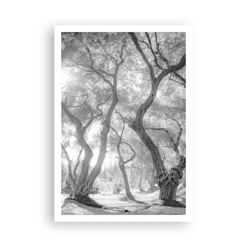 Pôster - No olival - 70x100 cm