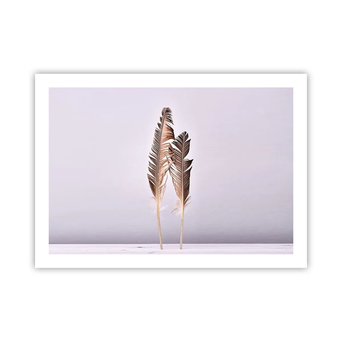 Pôster - Contra o nada - 70x50 cm