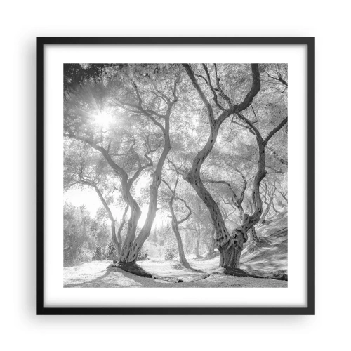 Pôster com moldura preta - No olival - 50x50 cm