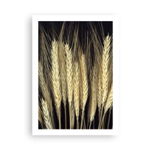 Pôster - Magia rústica - 50x70 cm