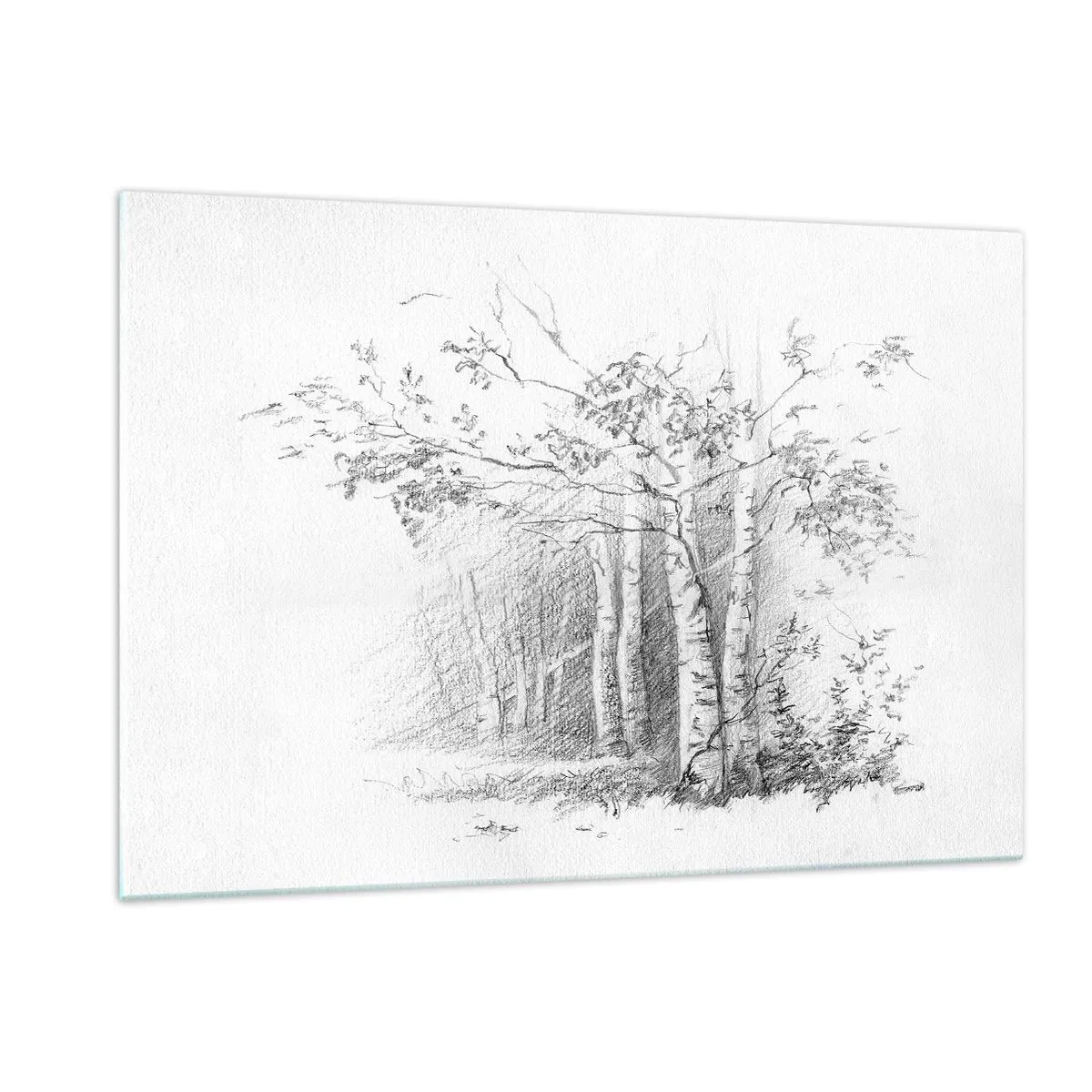 Quadro em vidro - Luz da floresta de bétulas - 120x80 cm