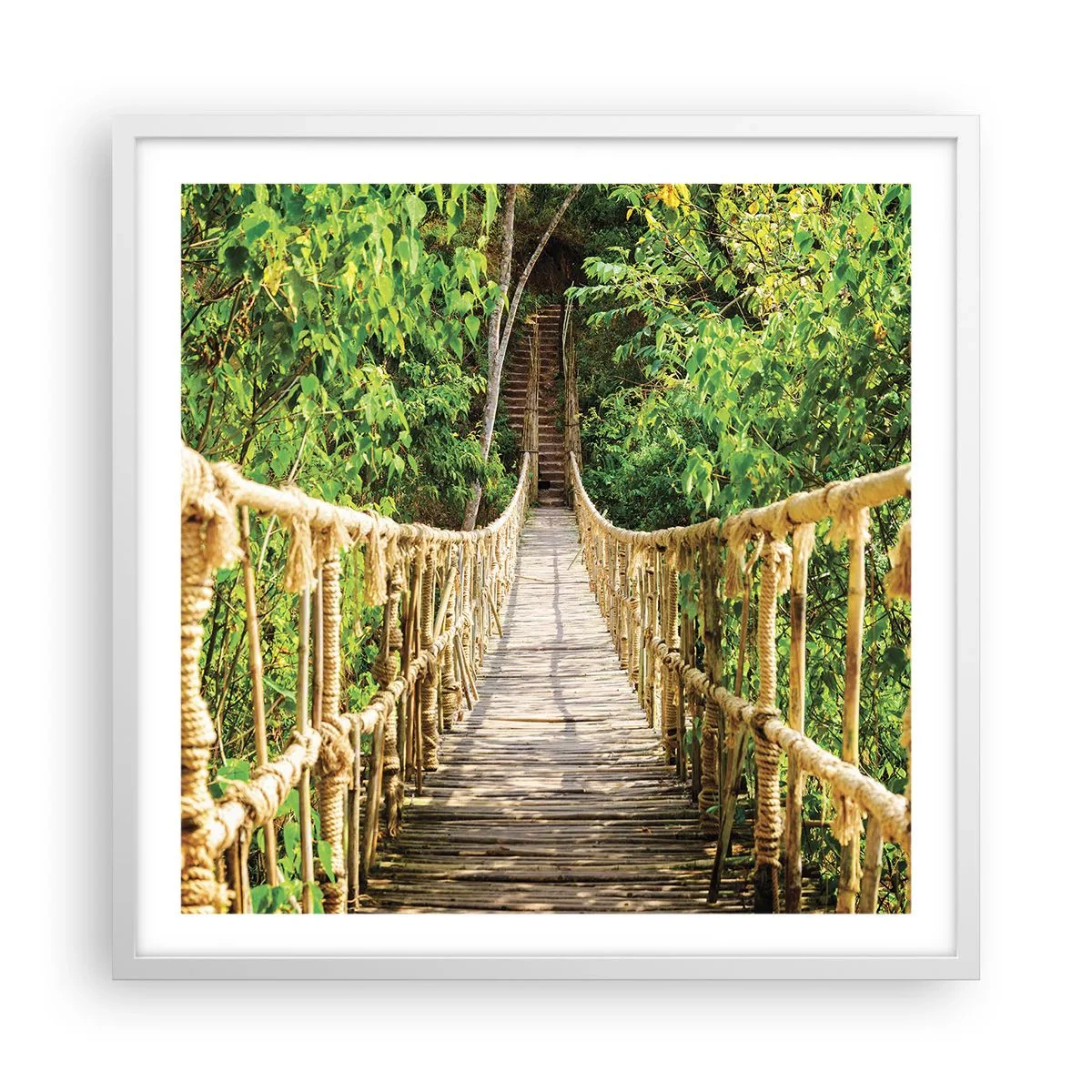 Pôster em moldura branca - Suspenso na vegetação - 60x60 cm