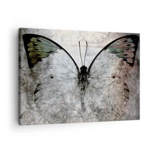 Quadro em tela - Uma borboleta em tons de verde e cinza sobre um fundo decorativo - 70x50cm - Estilo Art Nouveau - Decoração de parede moderna para a sala de estar e quarto ARTTOR