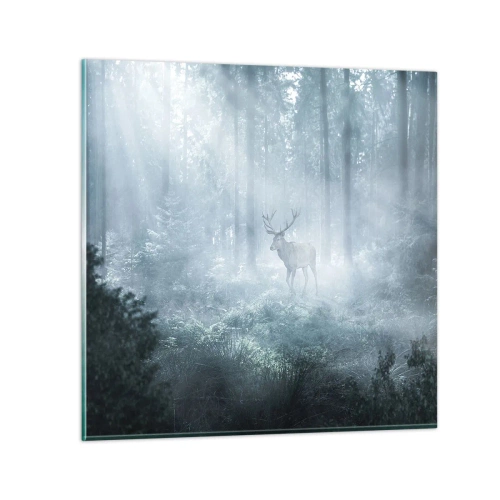 Quadro em vidro - Passeio matinal à volta da propriedade - 70x70 cm