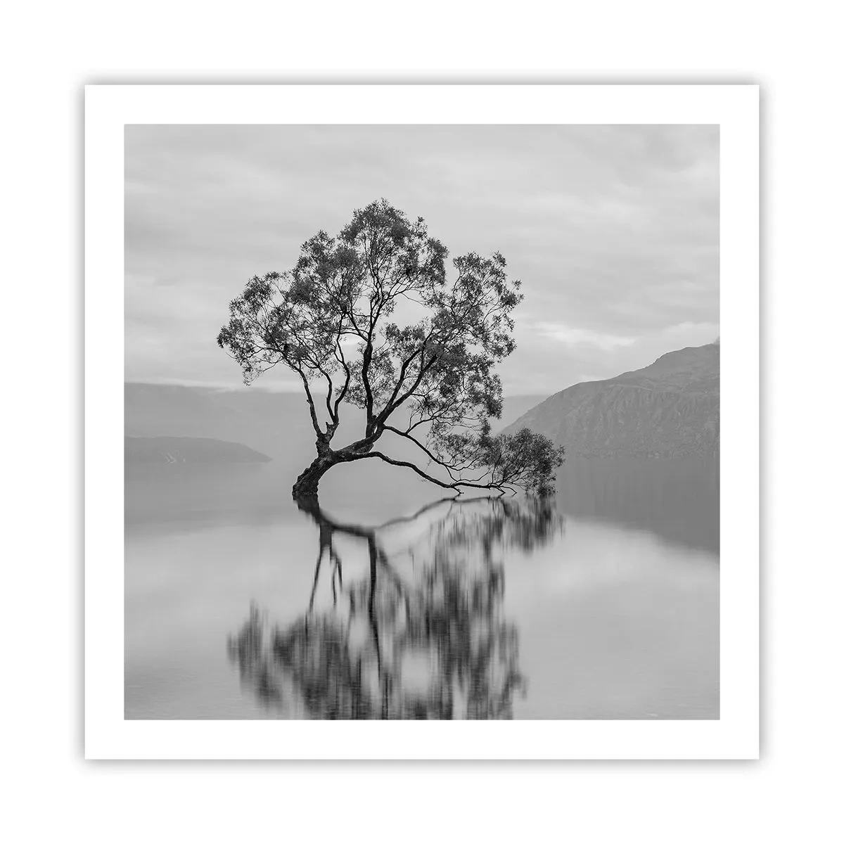 Pôster - Existe um país assim - 60x60 cm