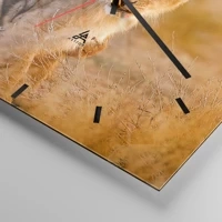 Mostrador com traços