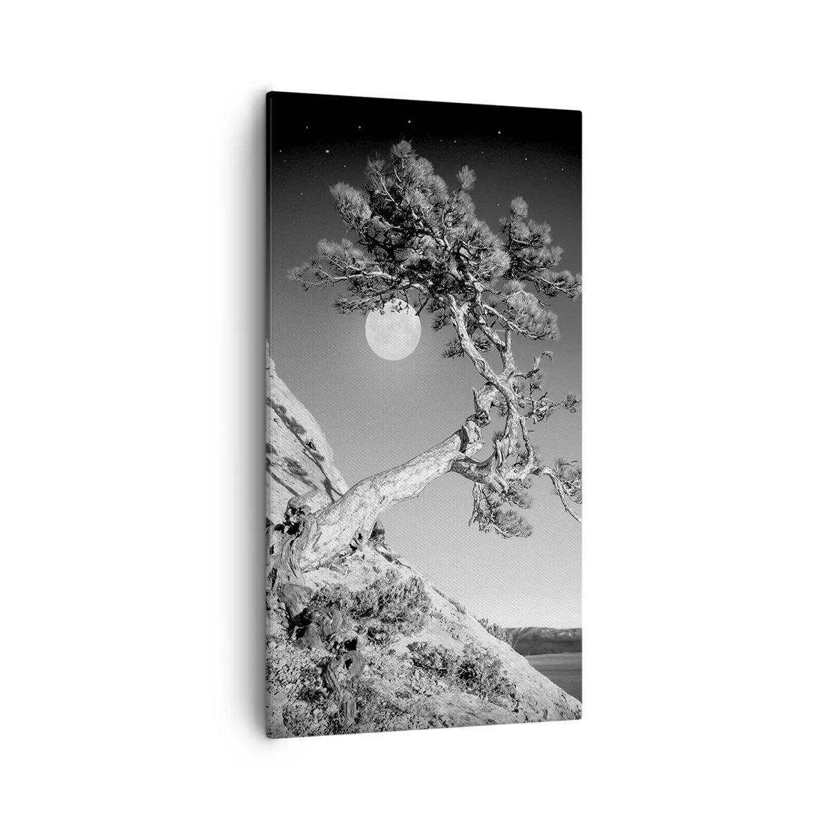 Quadro em tela - Guerreira vitoriosa - 55x100 cm