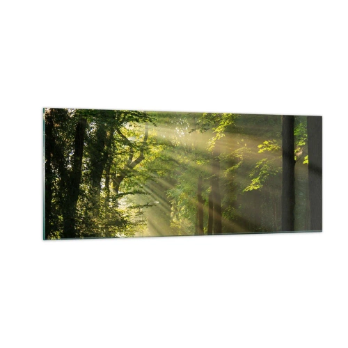 Quadro em vidro - Momento florestal - 100x40 cm