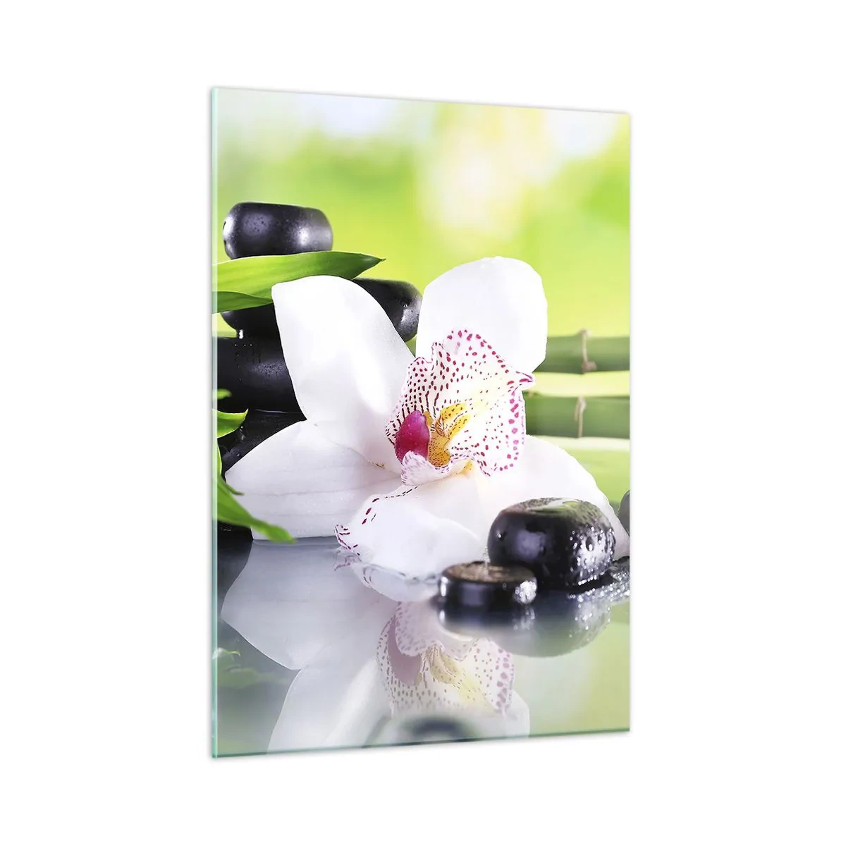 Quadro em vidro - Frescor e vigor - 50x70 cm