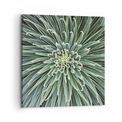 Quadro em tela - Nasce uma estrela - 70x70 cm