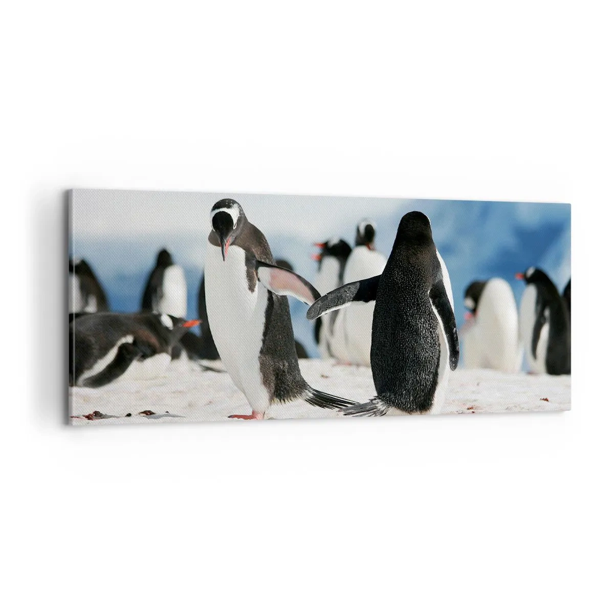Quadro em tela - Dança na neve - 100x40 cm