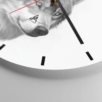 Mostrador com traços